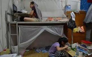 少女宿舍,少女们的温馨家园与成长故事