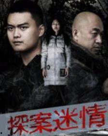 探案迷情,揭开谜案的神秘面纱