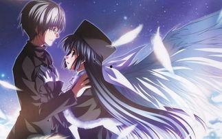 悠久之翼 第二季,命运交织的奇幻冒险再启