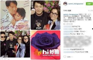 爱您爱到杀死您,从深情到毁灭的悲怆旅程