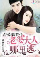 高冷总裁的追妻攻略